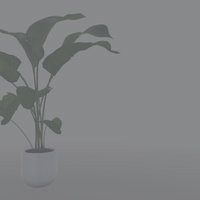 Rookglas grijs